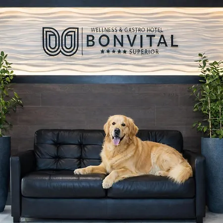 Bonvital Superior Adults Only 4* Хевиз